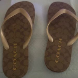 Coach flip flops